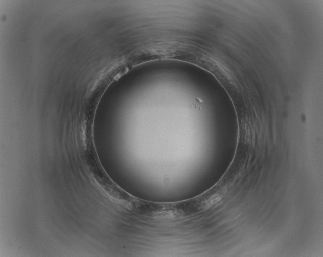 X0000074230404200609081626