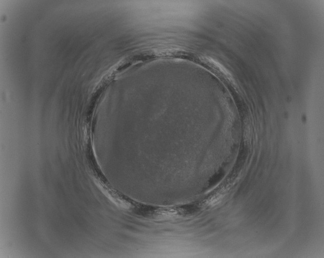 X0000074230405200609081626