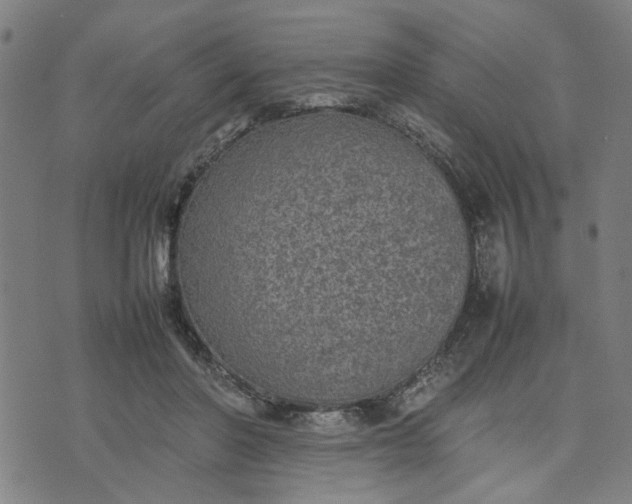 X0000074230406200609081626