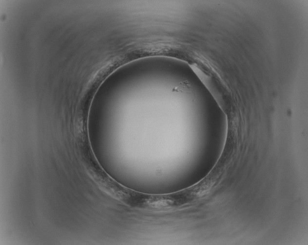 X0000074230407200609081626