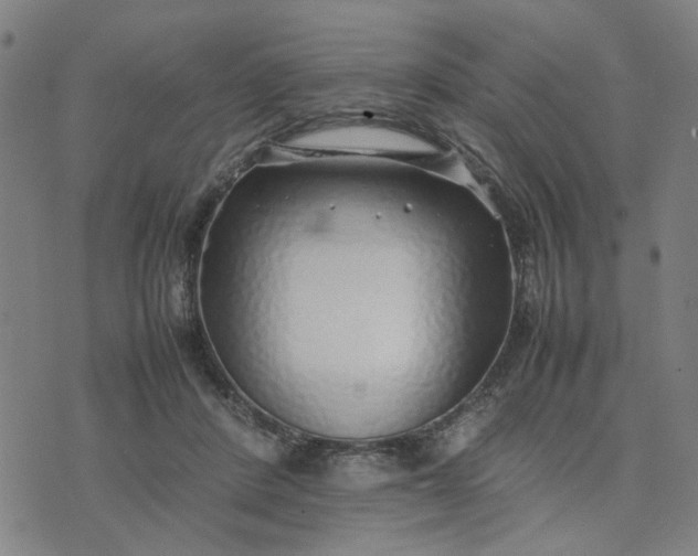 X0000074230408200609081626