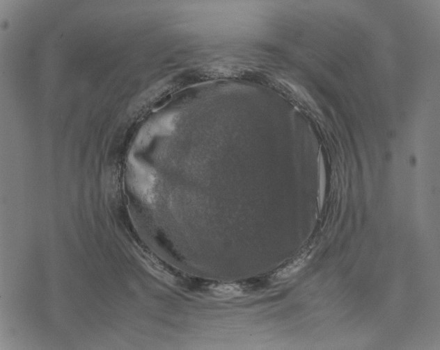 X0000074230409200609081626