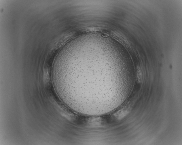 X0000074230410200609081626