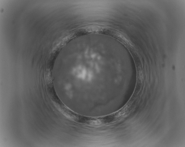 X0000074230411200609081626