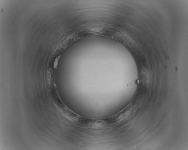 X0000074230412200609081626