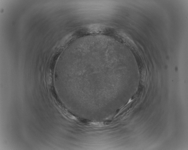 X0000074230413200609081626