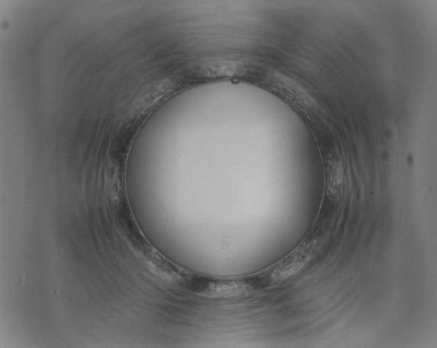 X0000074230414200609081626