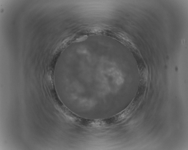 X0000074230415200609081626