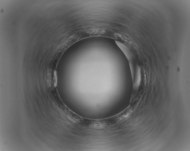 X0000074230416200609081626