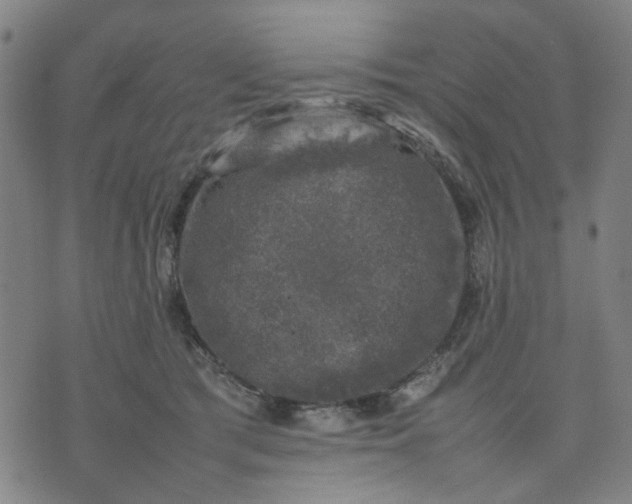 X0000074230417200609081626