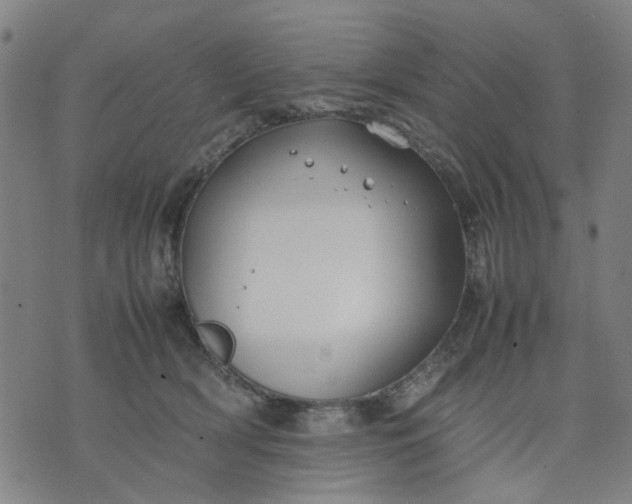 X0000074230418200609081626