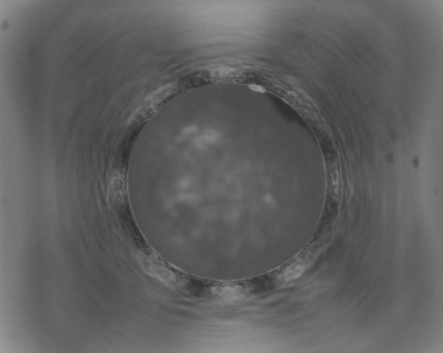 X0000074230419200609081626