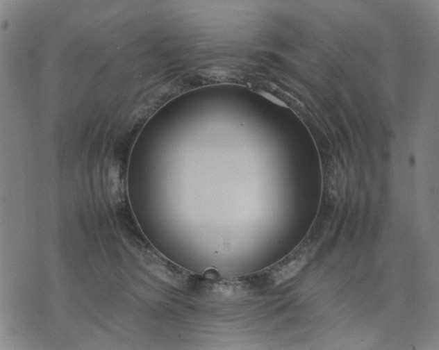 X0000074230420200609081626