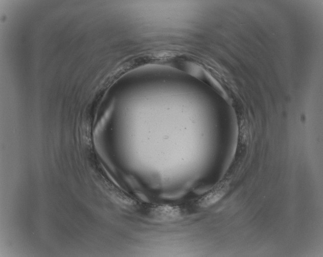 X0000074230421200609081626