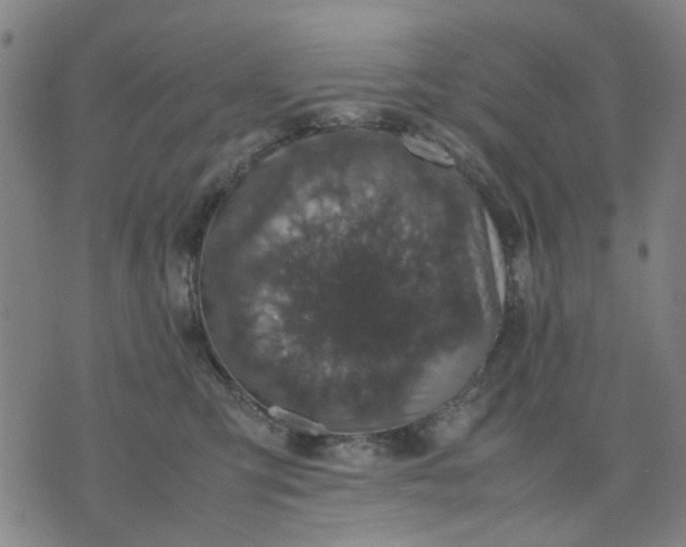 X0000074230423200609081626