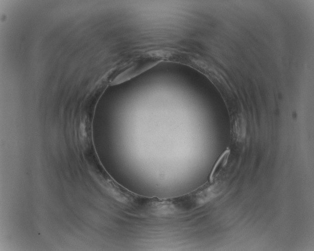 X0000074230424200609081626