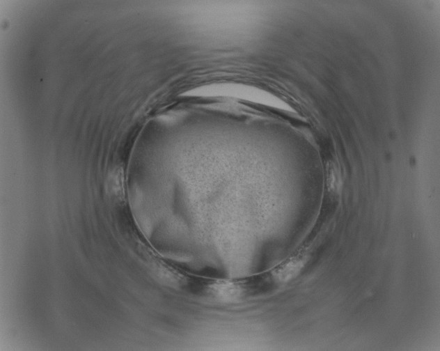 X0000074230425200609081626