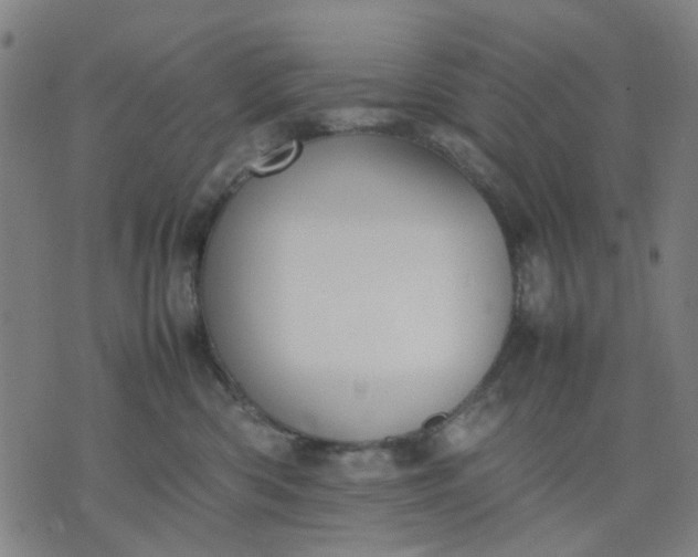 X0000074230426200609081626