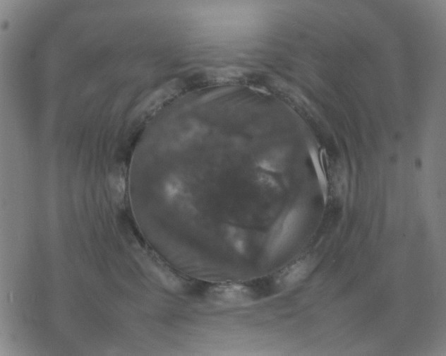 X0000074230427200609081626