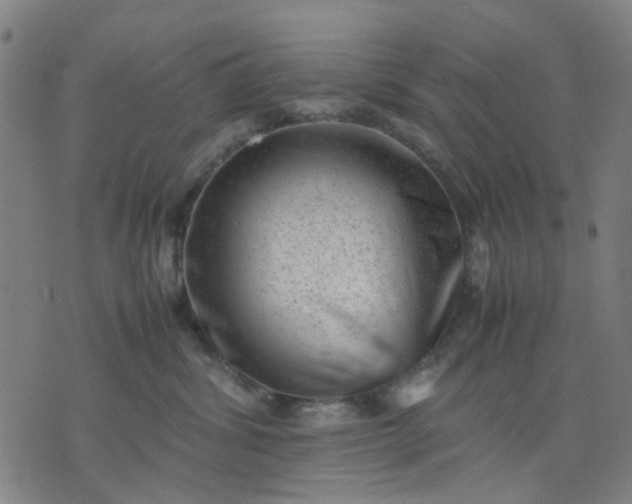 X0000074230428200609081626