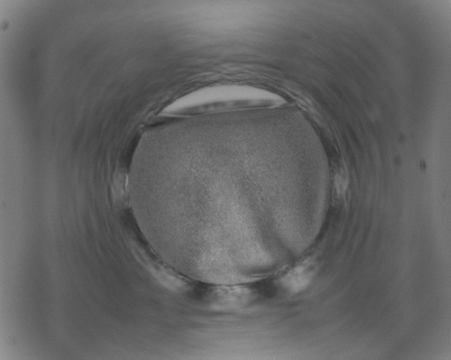 X0000074230429200609081626