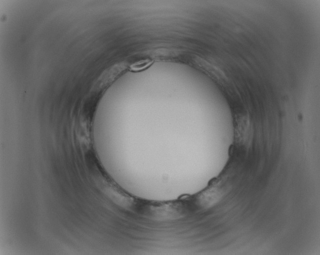 X0000074230430200609081626