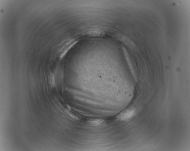 X0000074230432200609081626