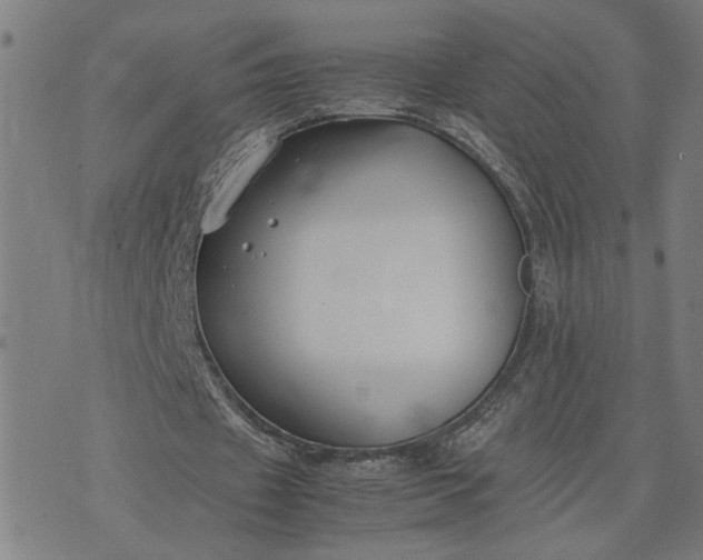 X0000074230433200609081625