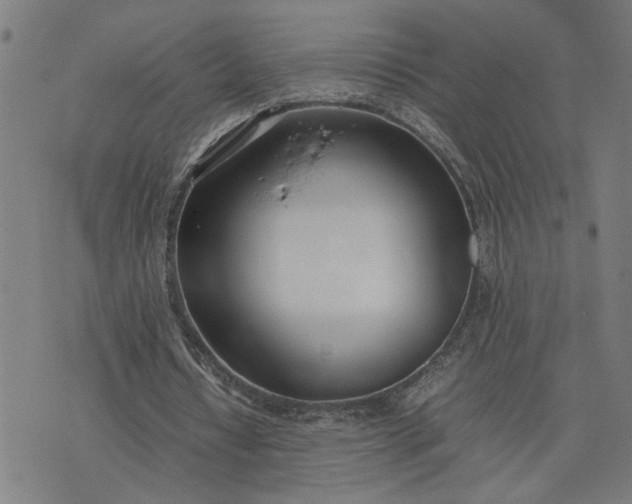 X0000074230434200609081625