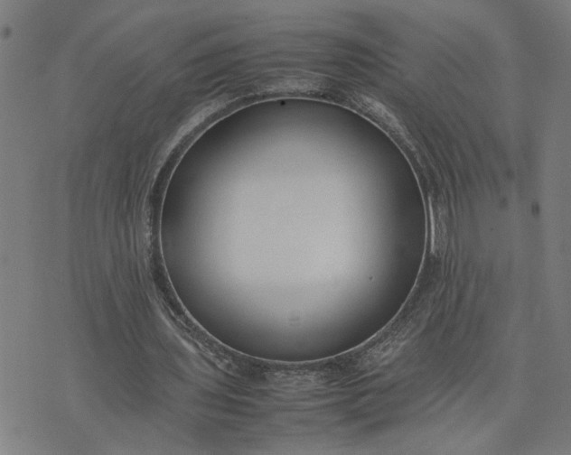 X0000074230435200609081625