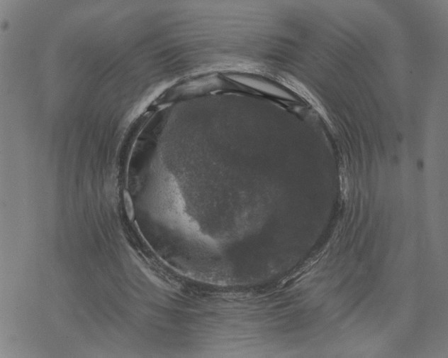 X0000074230436200609081625