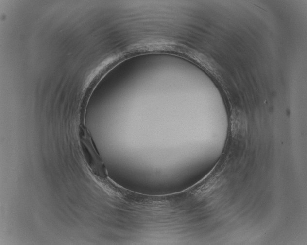 X0000074230438200609081625