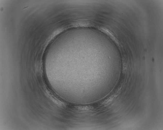 X0000074230439200609081625