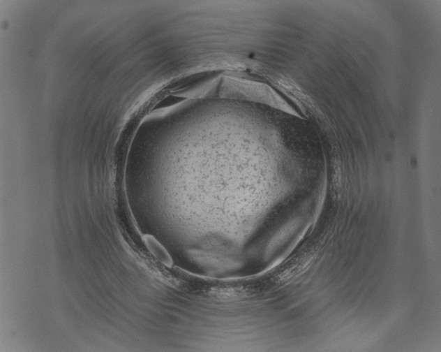 X0000074230440200609081625