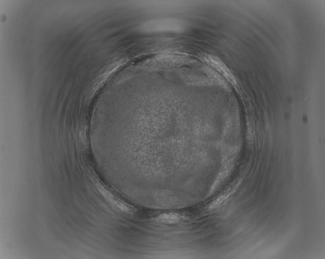 X0000074230441200609081625