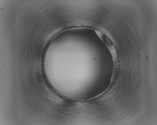 X0000074230442200609081625