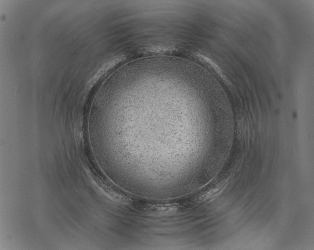 X0000074230443200609081625