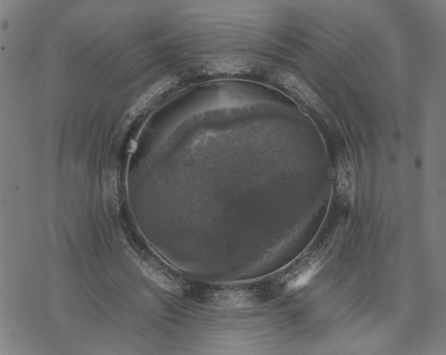 X0000074230444200609081625