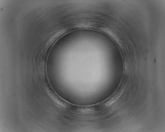 X0000074230445200609081625