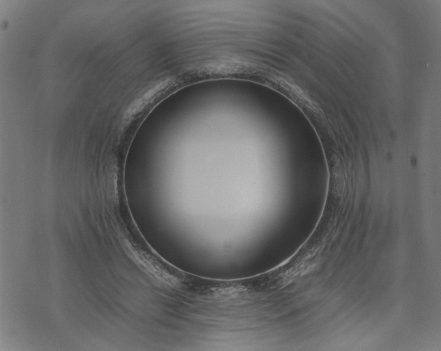 X0000074230446200609081625