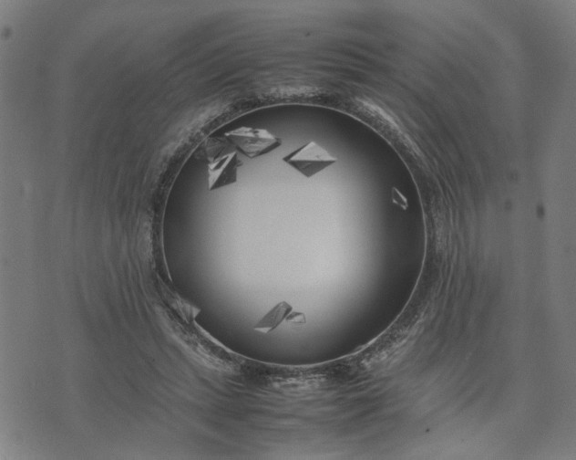 X0000074230447200609081625