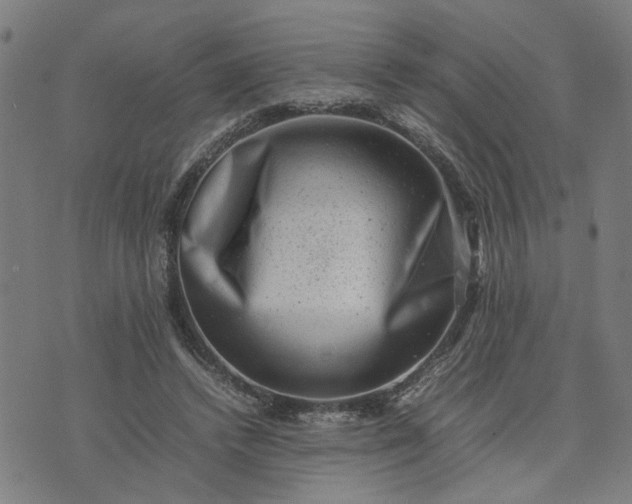 X0000074230448200609081625