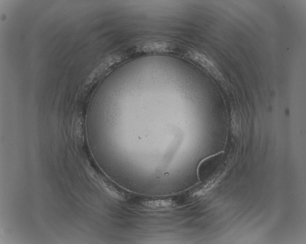 X0000074230449200609081625