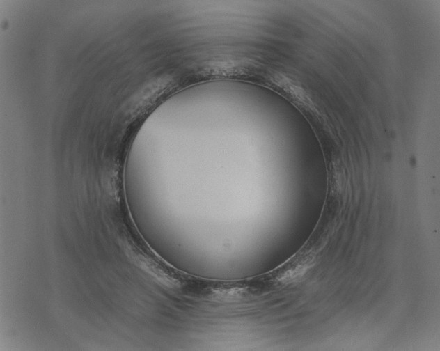 X0000074230450200609081625