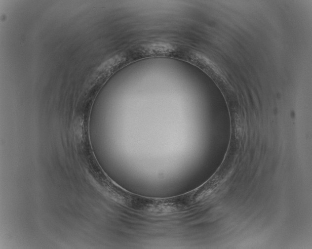 X0000074230451200609081625