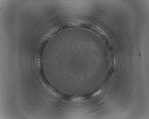 X0000074230452200609081625