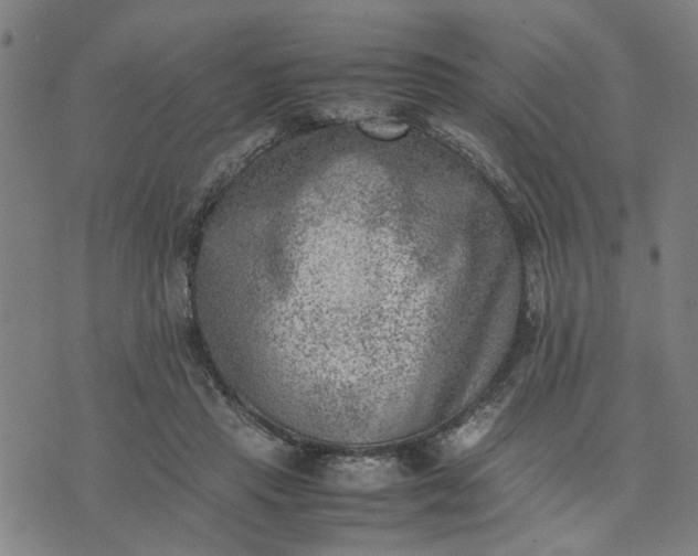 X0000074230453200609081625