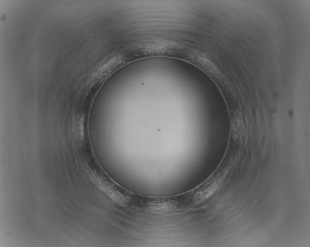 X0000074230454200609081625