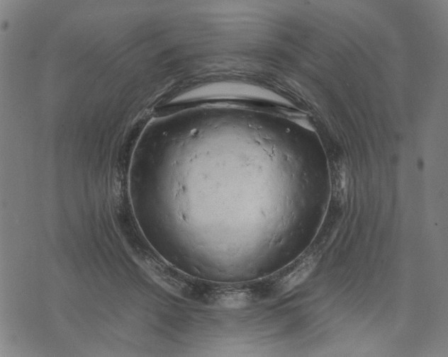 X0000074230456200609081625