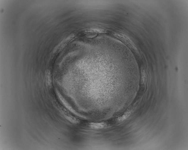 X0000074230457200609081625